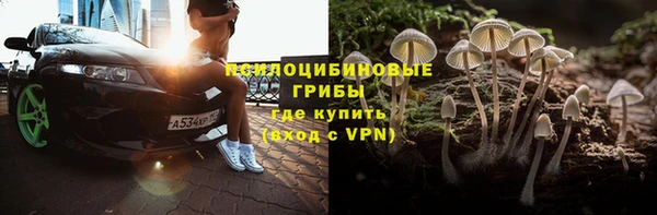 гашик Алексеевка