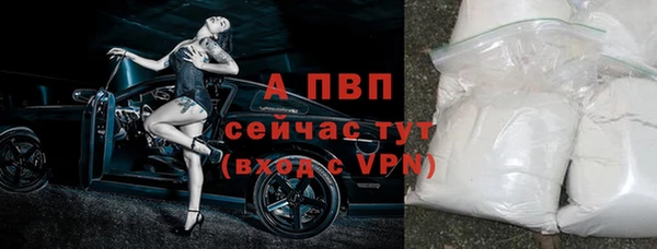 винт Алзамай