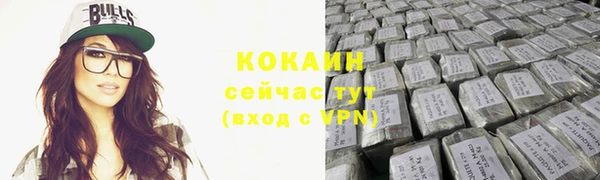 шишки Абинск